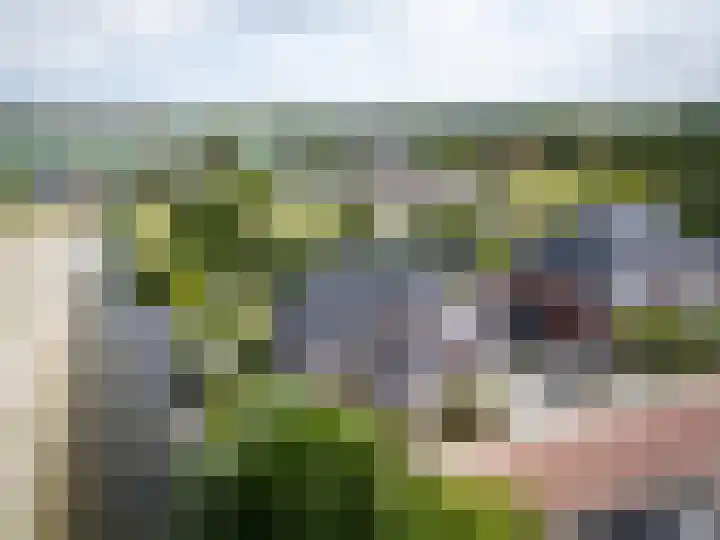 Saint Rémylaan 44 Wognum thumbnail 9