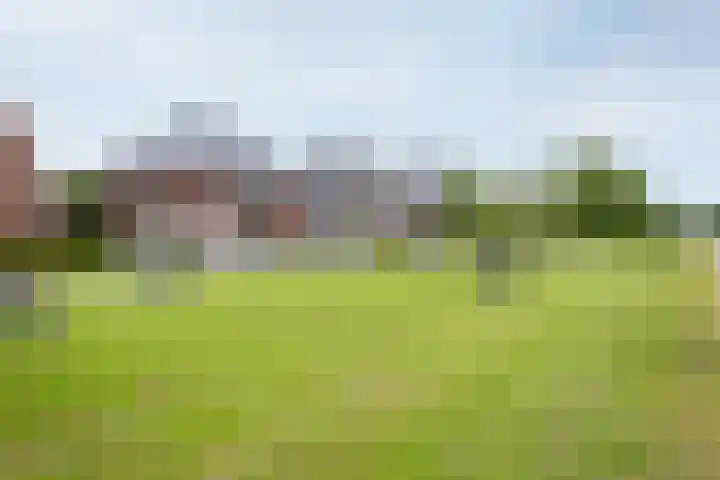 Saint Rémylaan 44 Wognum thumbnail 91