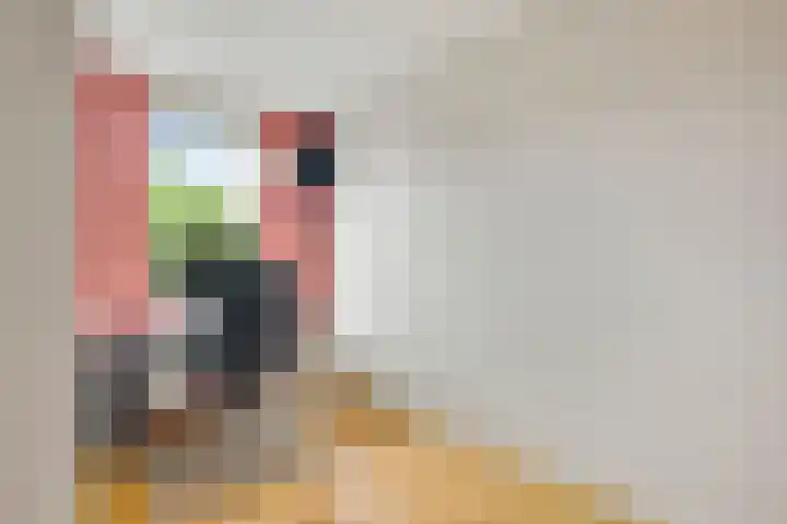 Saint Rémystraat 36 Bunde thumbnail 13