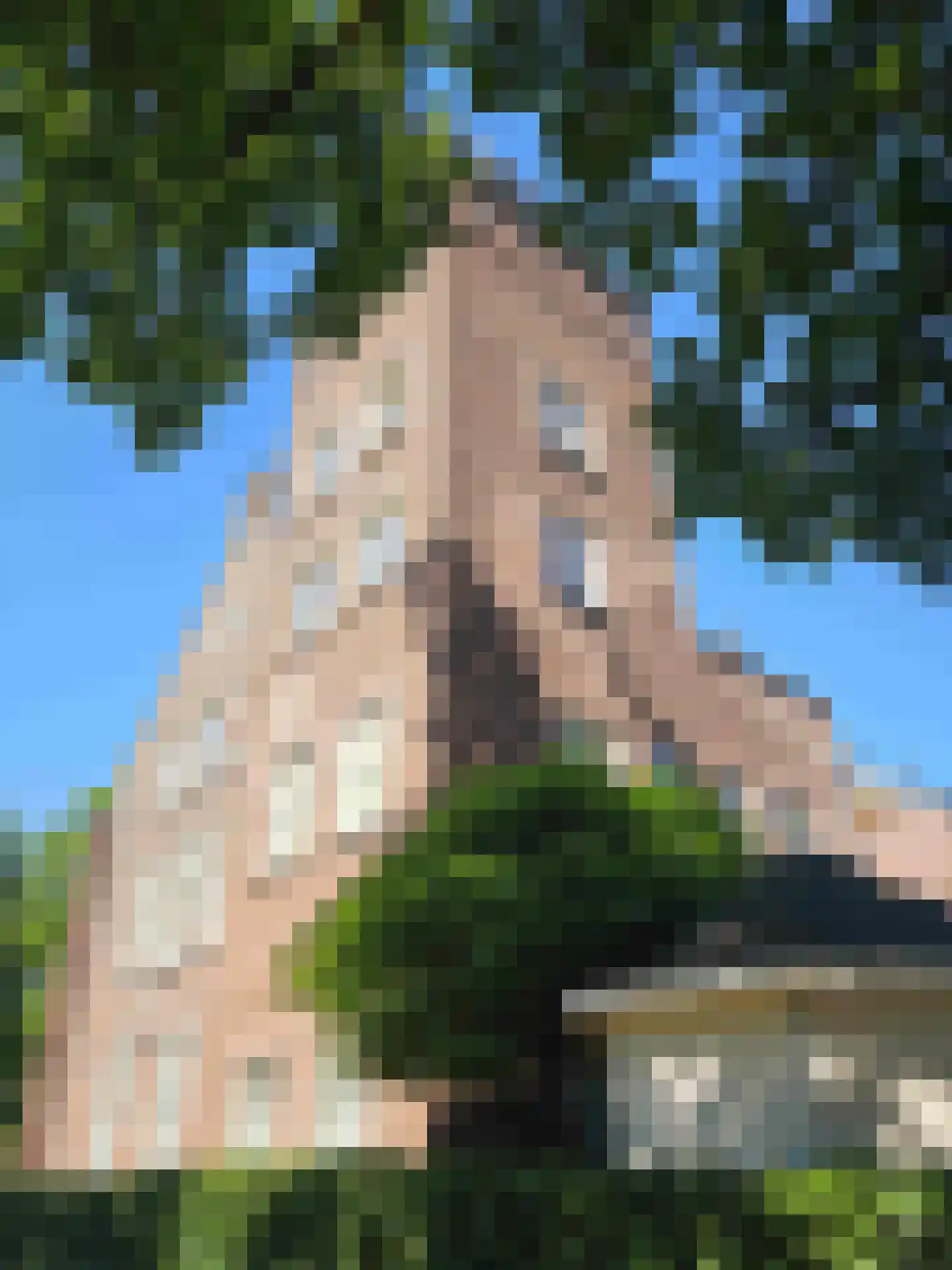 Sainte Marielaan 35 Huijbergen thumbnail 10