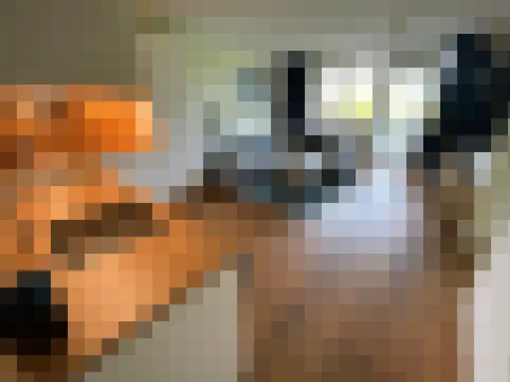 Sajetplein 58 Amsterdam thumbnail 5
