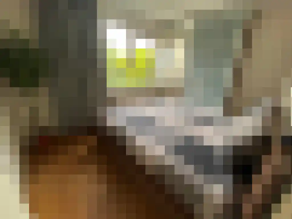 Sajetplein 58 Amsterdam thumbnail 6