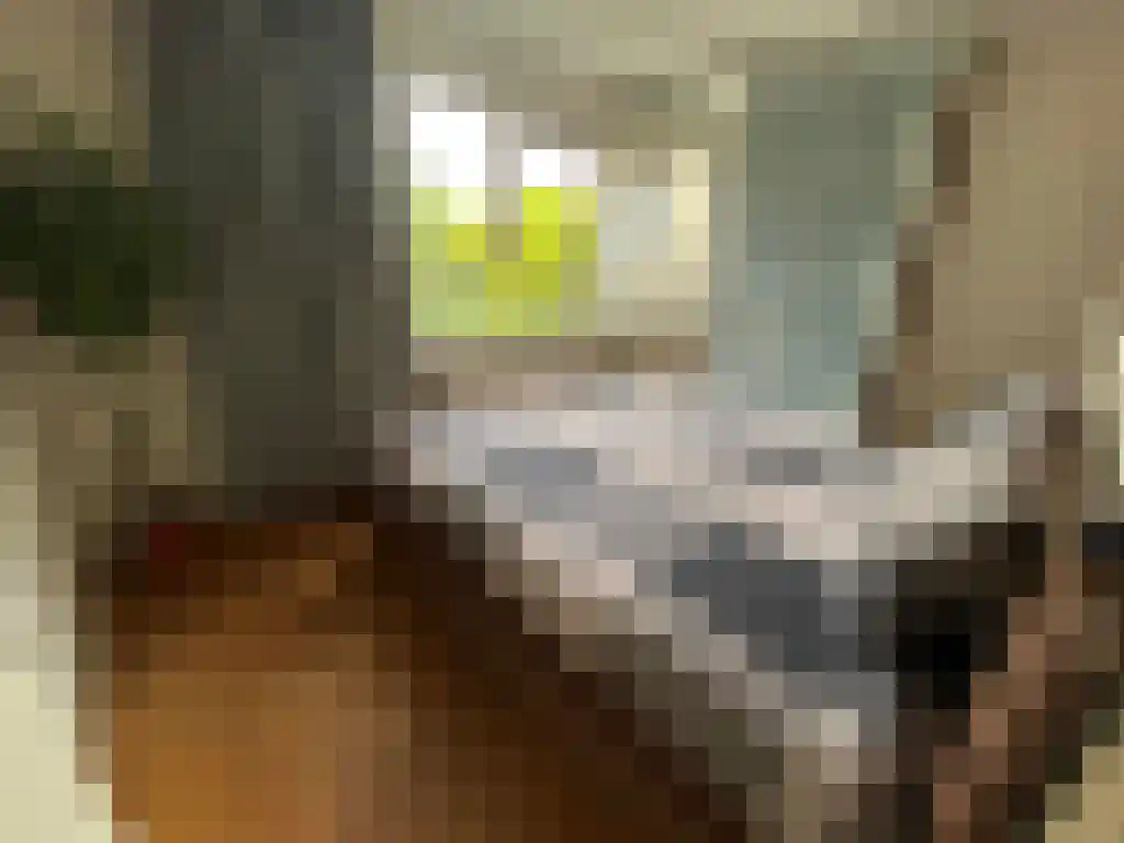 Sajetplein 58 Amsterdam thumbnail 6