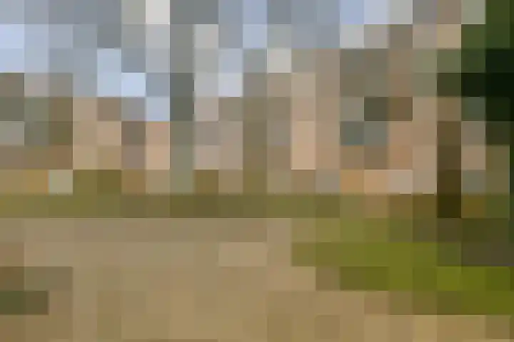 Sajetplein 60 Amsterdam thumbnail 20