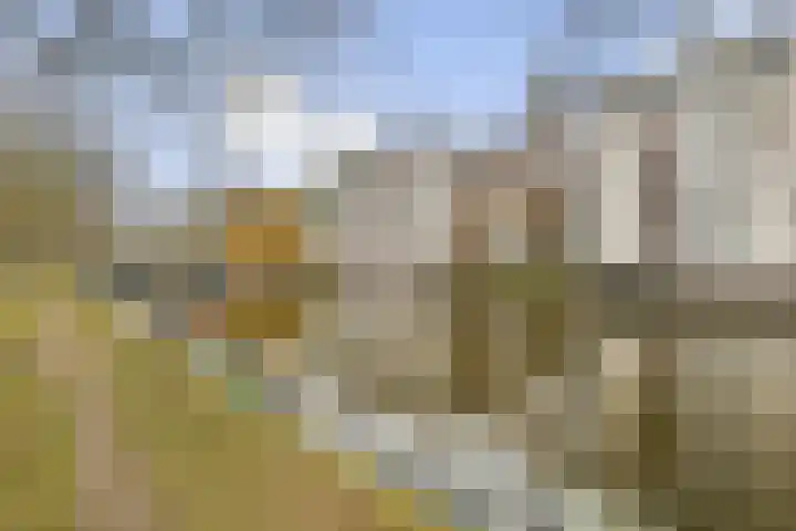 Sajetplein 60 Amsterdam thumbnail 22