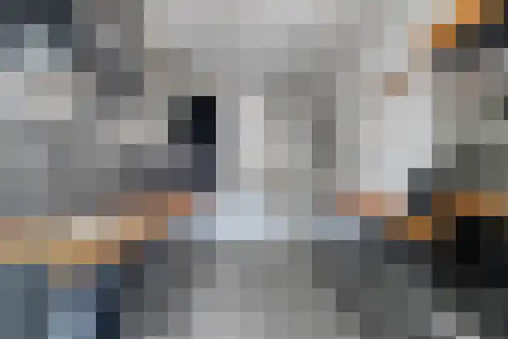 Sajetplein 76 Amsterdam thumbnail 18