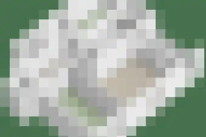Sajetplein 76 Amsterdam thumbnail 26