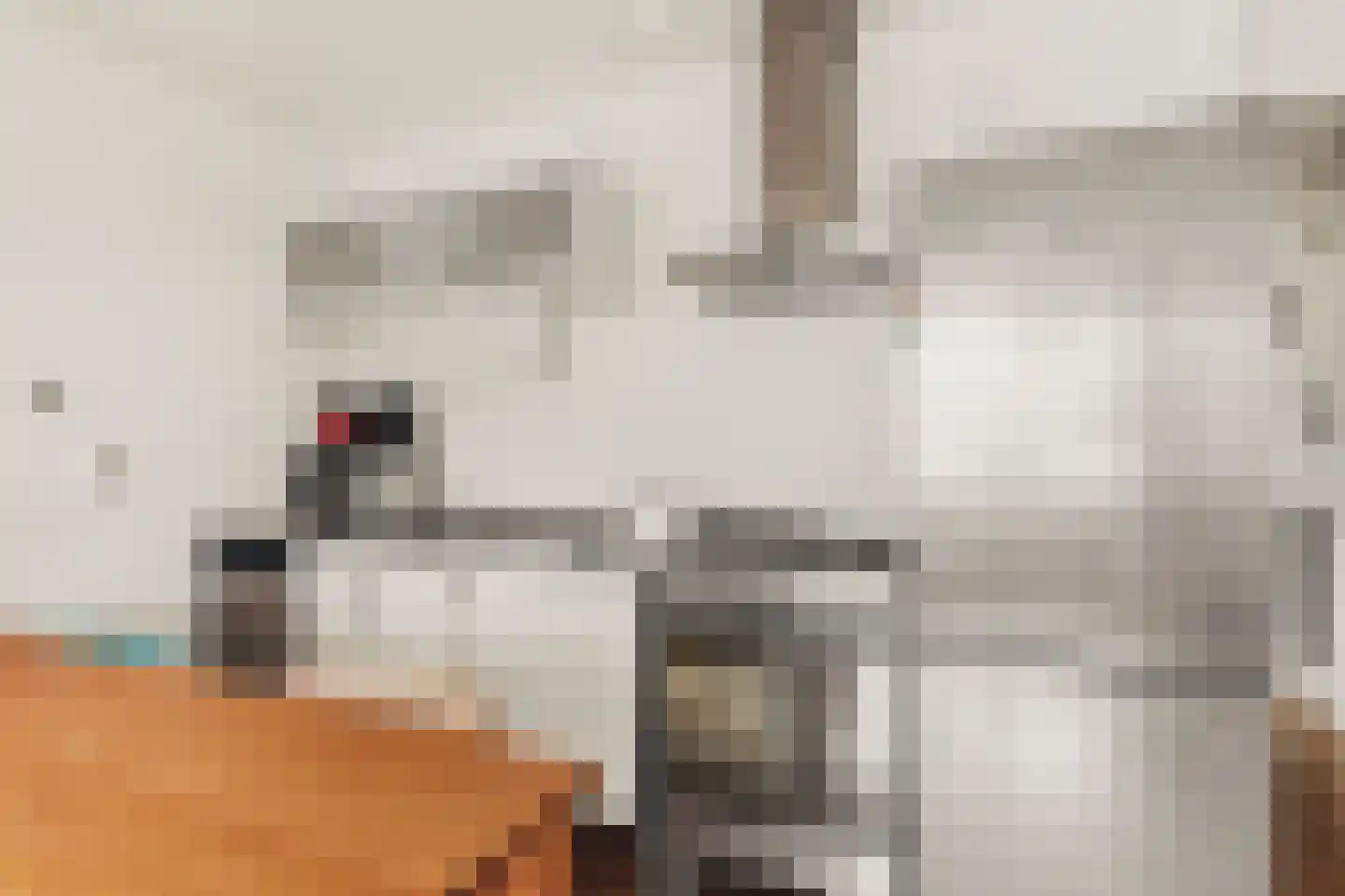 Sajetplein 84 Amsterdam thumbnail 8