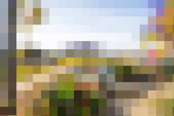 Sajetplein 94 Amsterdam thumbnail 29
