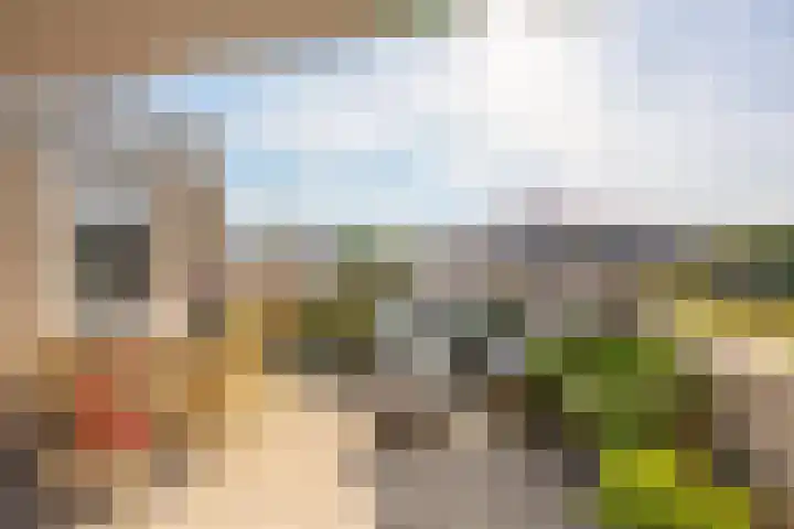 Sajetplein 94 Amsterdam thumbnail 30