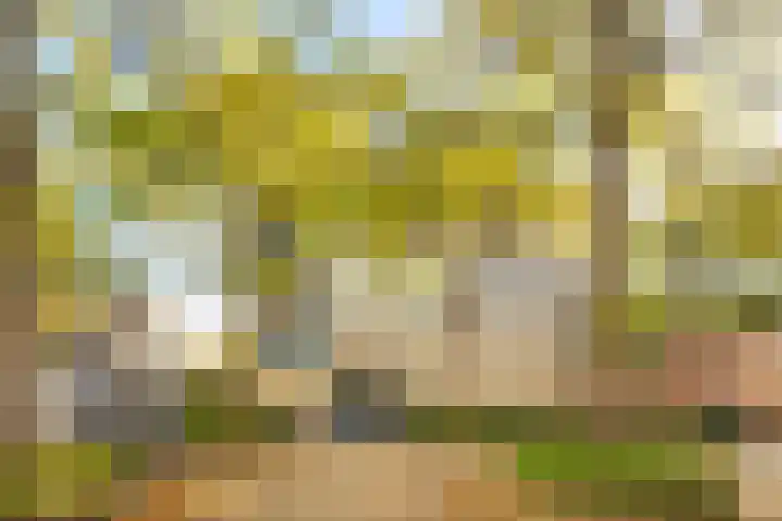 Sajetplein 94 Amsterdam thumbnail 34