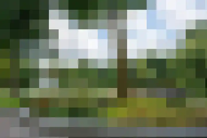Sajetplein 94 Amsterdam thumbnail 39