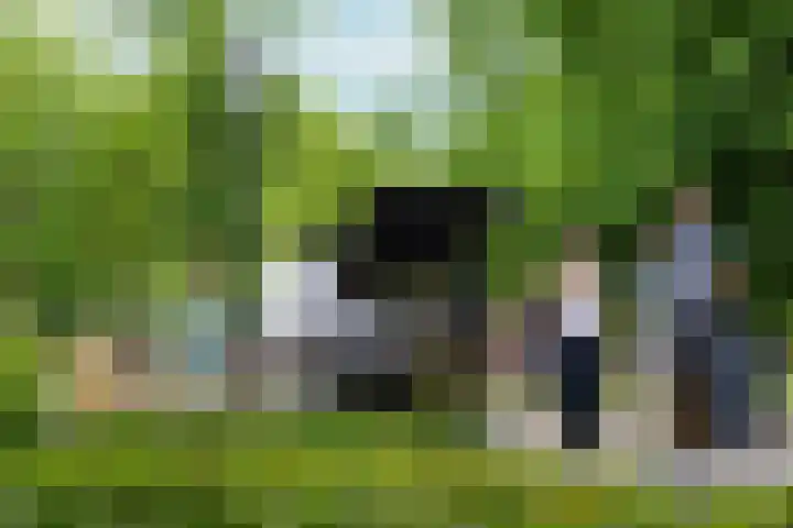 Sajetplein 94 Amsterdam thumbnail 42