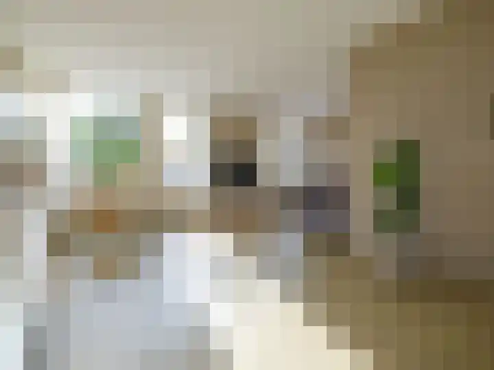 Sake Visserstrjitte 15 Akkrum thumbnail 10