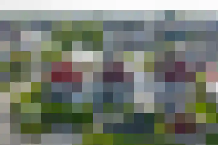 Sake Visserstrjitte 15 Akkrum thumbnail 38