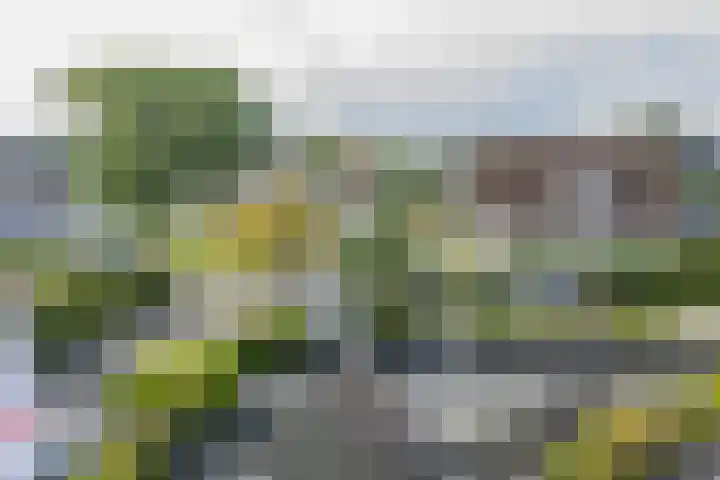 Sake Visserstrjitte 15 Akkrum thumbnail 42