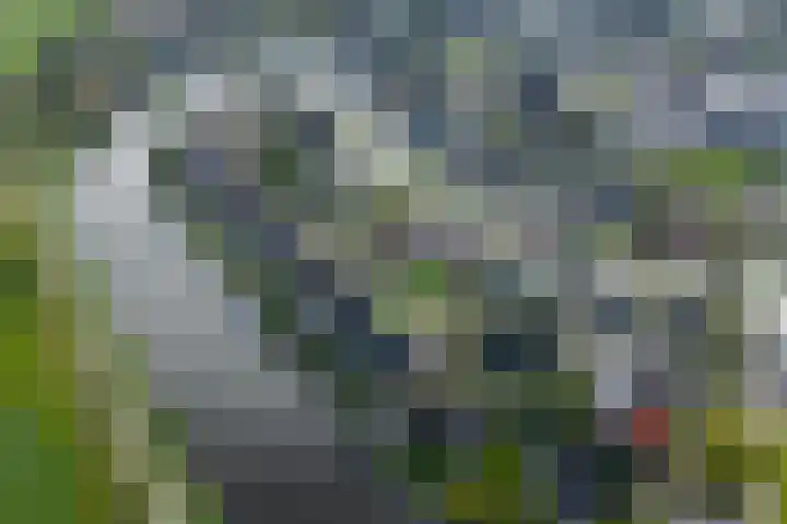 Sake Visserstrjitte 15 Akkrum thumbnail 44