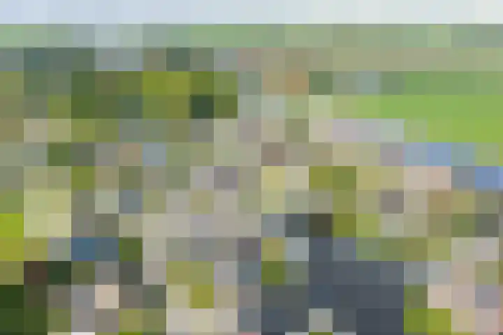 Sake Visserstrjitte 15 Akkrum thumbnail 46