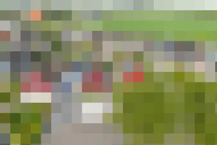Sake Visserstrjitte 15 Akkrum thumbnail 47