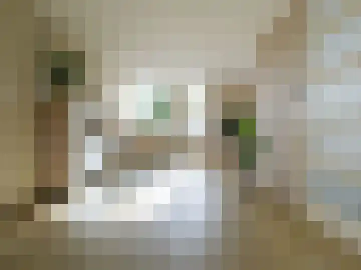 Sake Visserstrjitte 15 Akkrum thumbnail 9