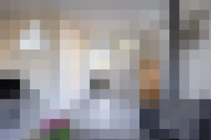 Sake Visserstrjitte 6 Akkrum thumbnail 12