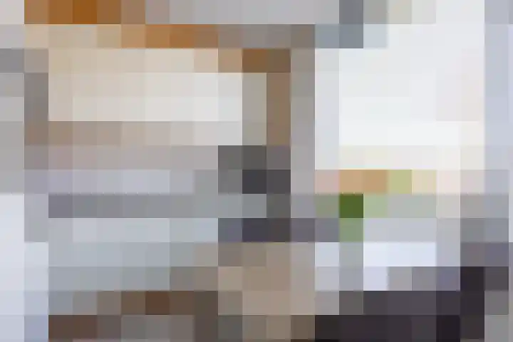 Sake Visserstrjitte 6 Akkrum thumbnail 14