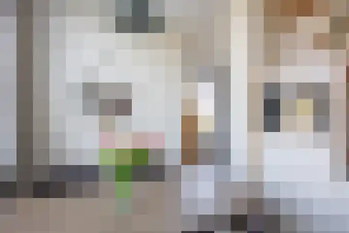 Sake Visserstrjitte 6 Akkrum thumbnail 17