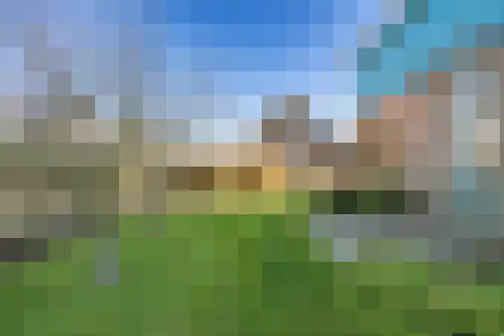 Sake Visserstrjitte 6 Akkrum thumbnail 36