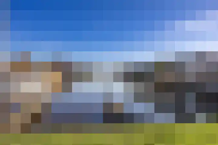 Sake Visserstrjitte 6 Akkrum thumbnail 45