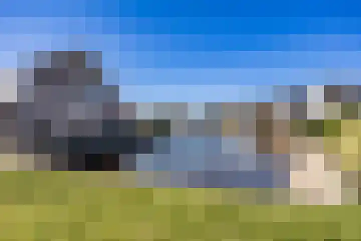 Sake Visserstrjitte 6 Akkrum thumbnail 46