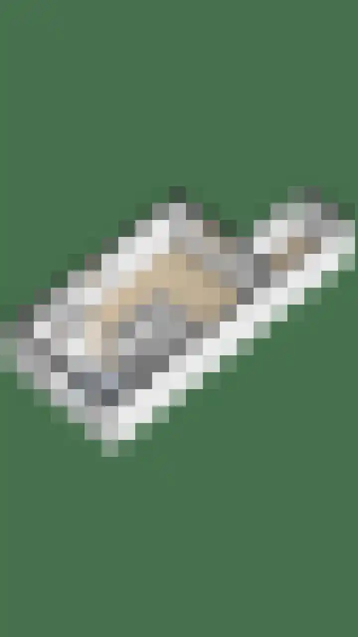 Sake Visserstrjitte 6 Akkrum thumbnail 48