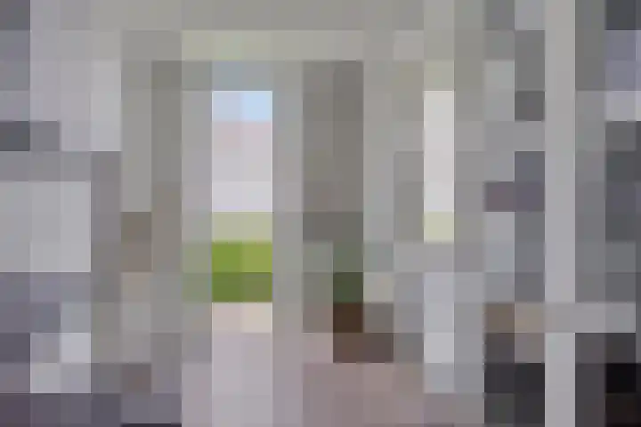 Sakervalk 19 Valkenswaard thumbnail 11