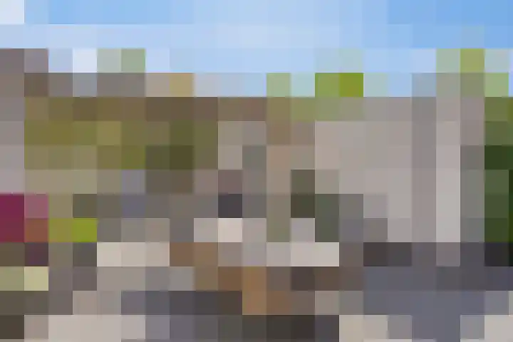 Sakervalk 19 Valkenswaard thumbnail 26