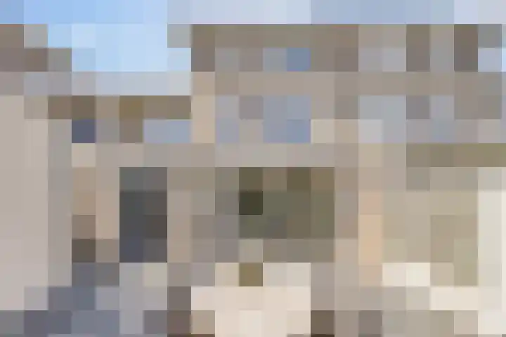 Sakervalk 19 Valkenswaard thumbnail 27
