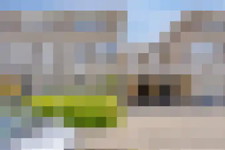 Sakervalk 19 Valkenswaard thumbnail 30