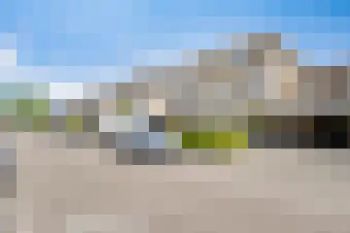 Sakervalk 19 Valkenswaard thumbnail 31
