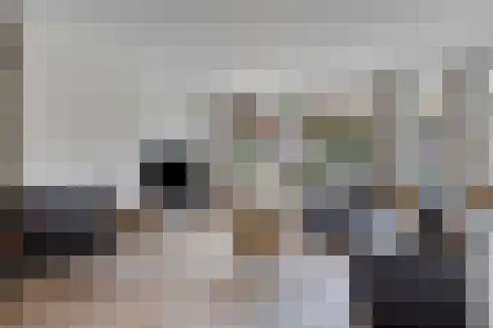 Sakervalk 19 Valkenswaard thumbnail 5