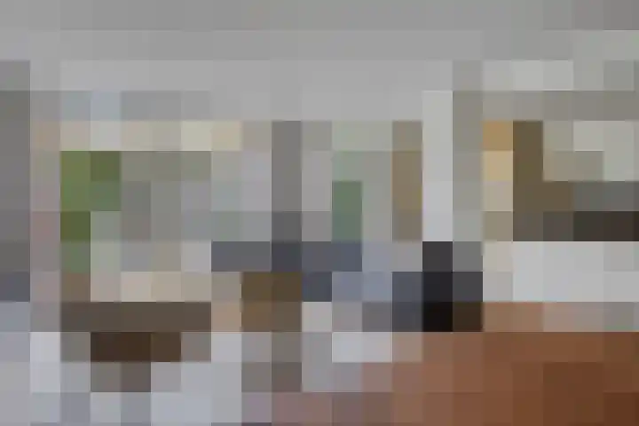 Sakervalk 19 Valkenswaard thumbnail 6