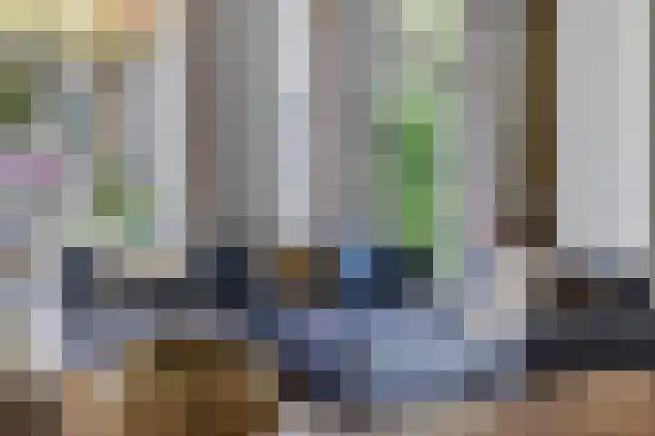 Sakervalk 19 Valkenswaard thumbnail 8