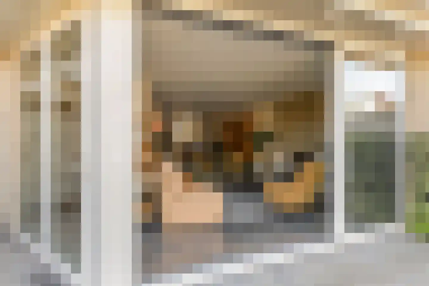 Sakervalk 22 Valkenswaard thumbnail 35