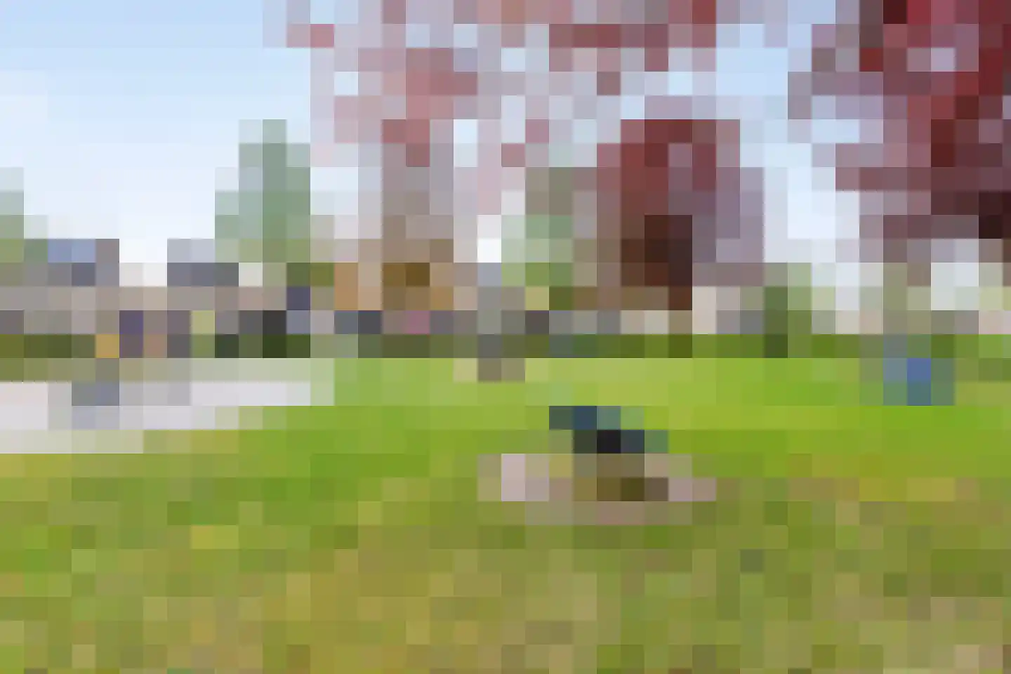 Sakervalk 22 Valkenswaard thumbnail 40