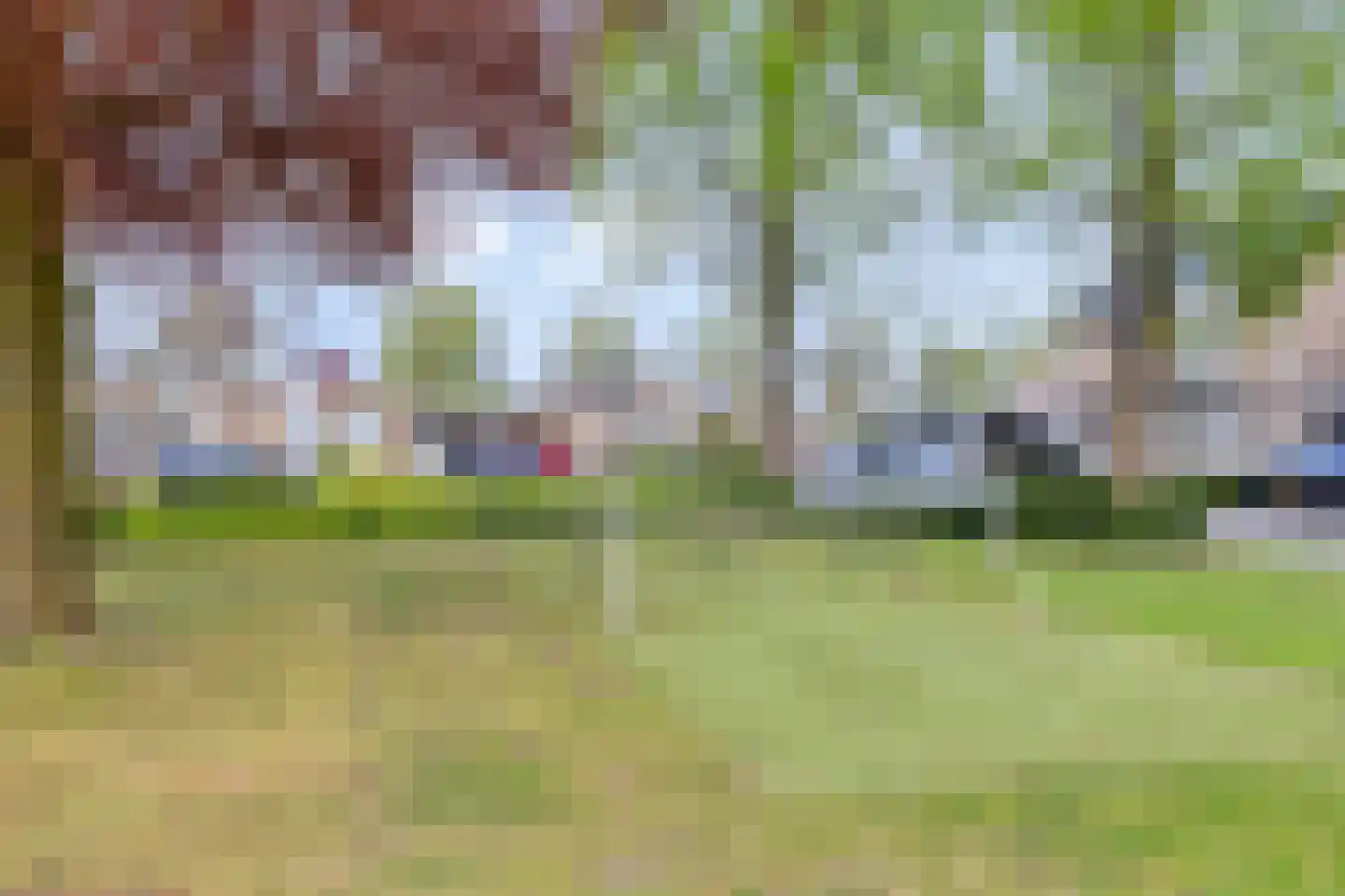 Sakervalk 22 Valkenswaard thumbnail 41