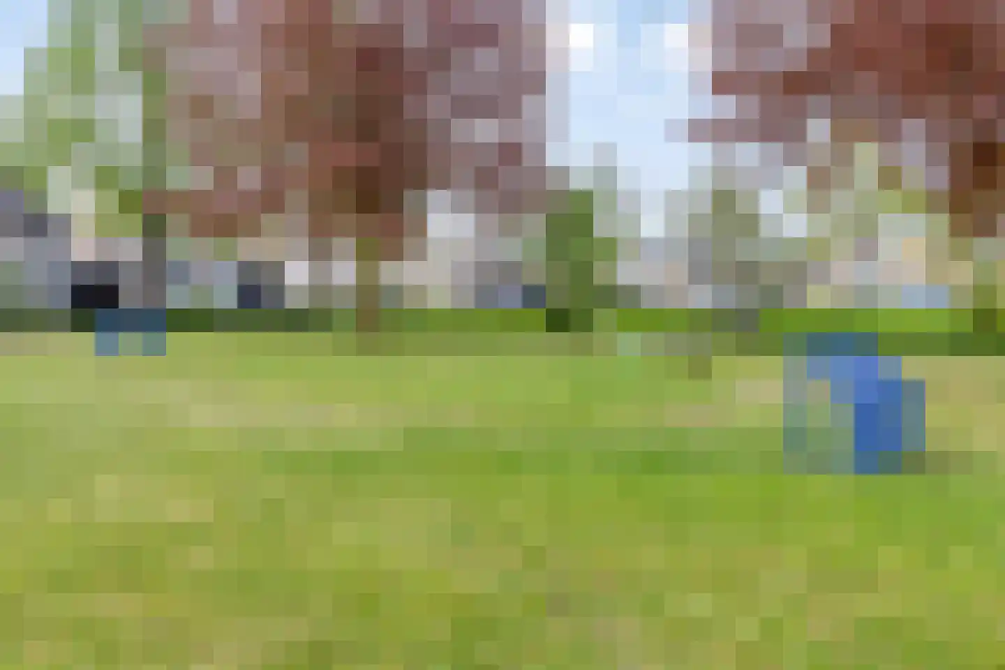 Sakervalk 22 Valkenswaard thumbnail 42