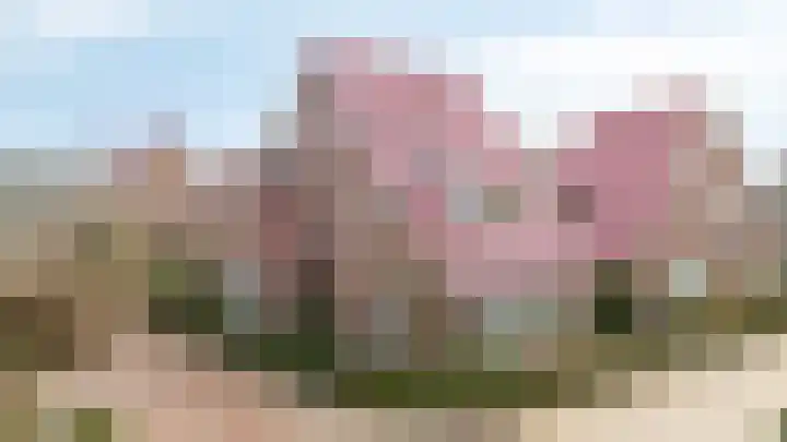 Saksen 2 Doetinchem thumbnail 57