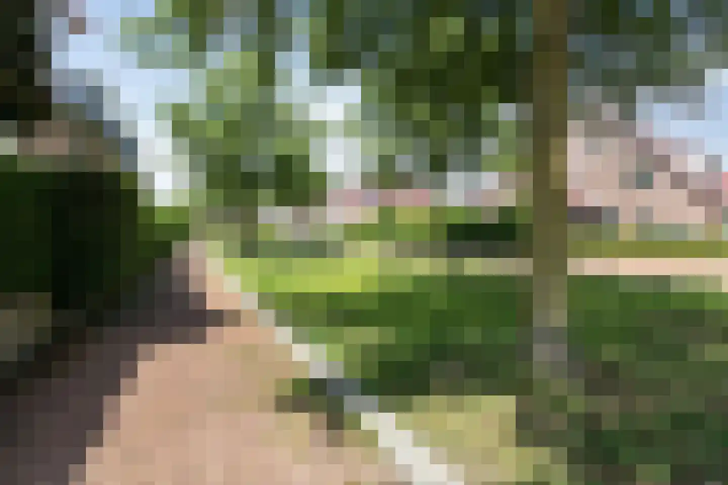 Saksen 7 Doetinchem thumbnail 12