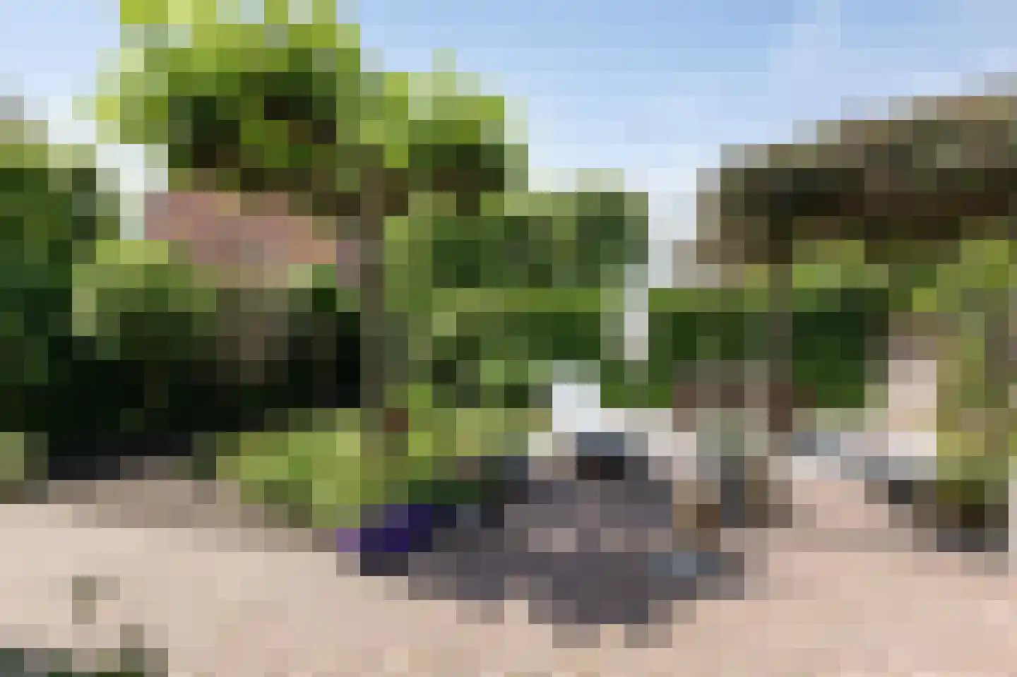 Saksen 7 Doetinchem thumbnail 36
