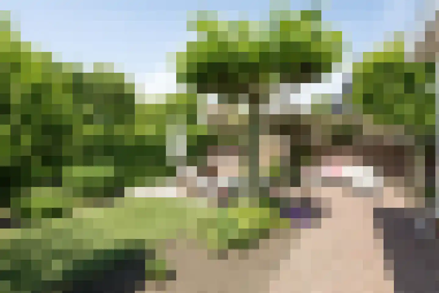 Saksen 7 Doetinchem thumbnail 38
