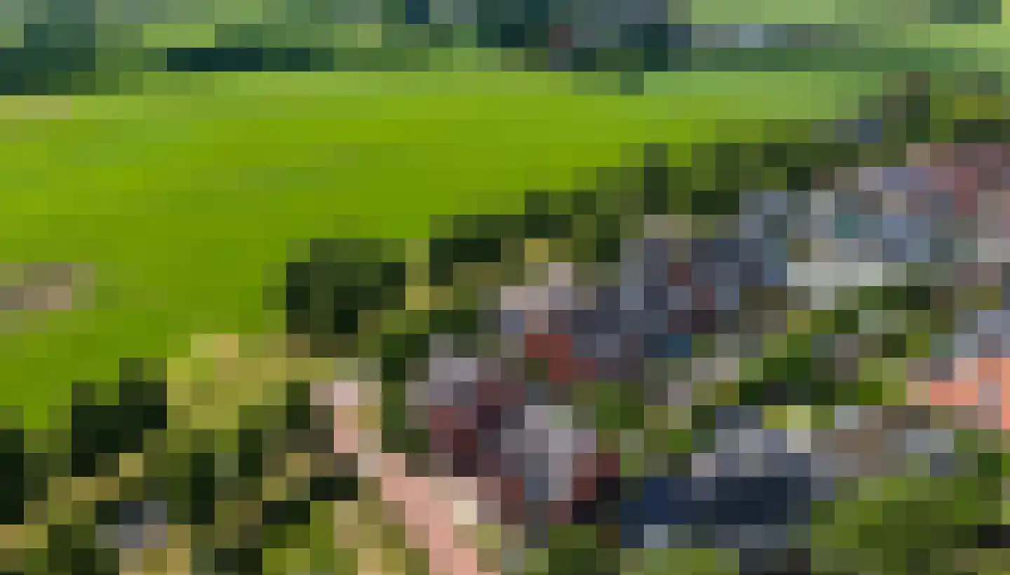Saksen 7 Doetinchem thumbnail 6