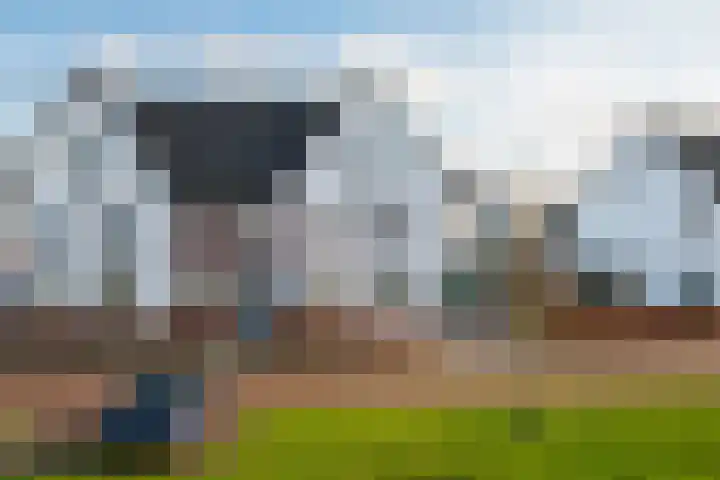 Saksen-Anhalt 18 Arnhem thumbnail 41