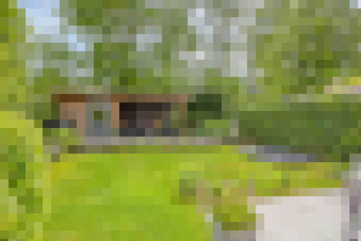 Saksen-Coburg 15 Arnhem thumbnail 57